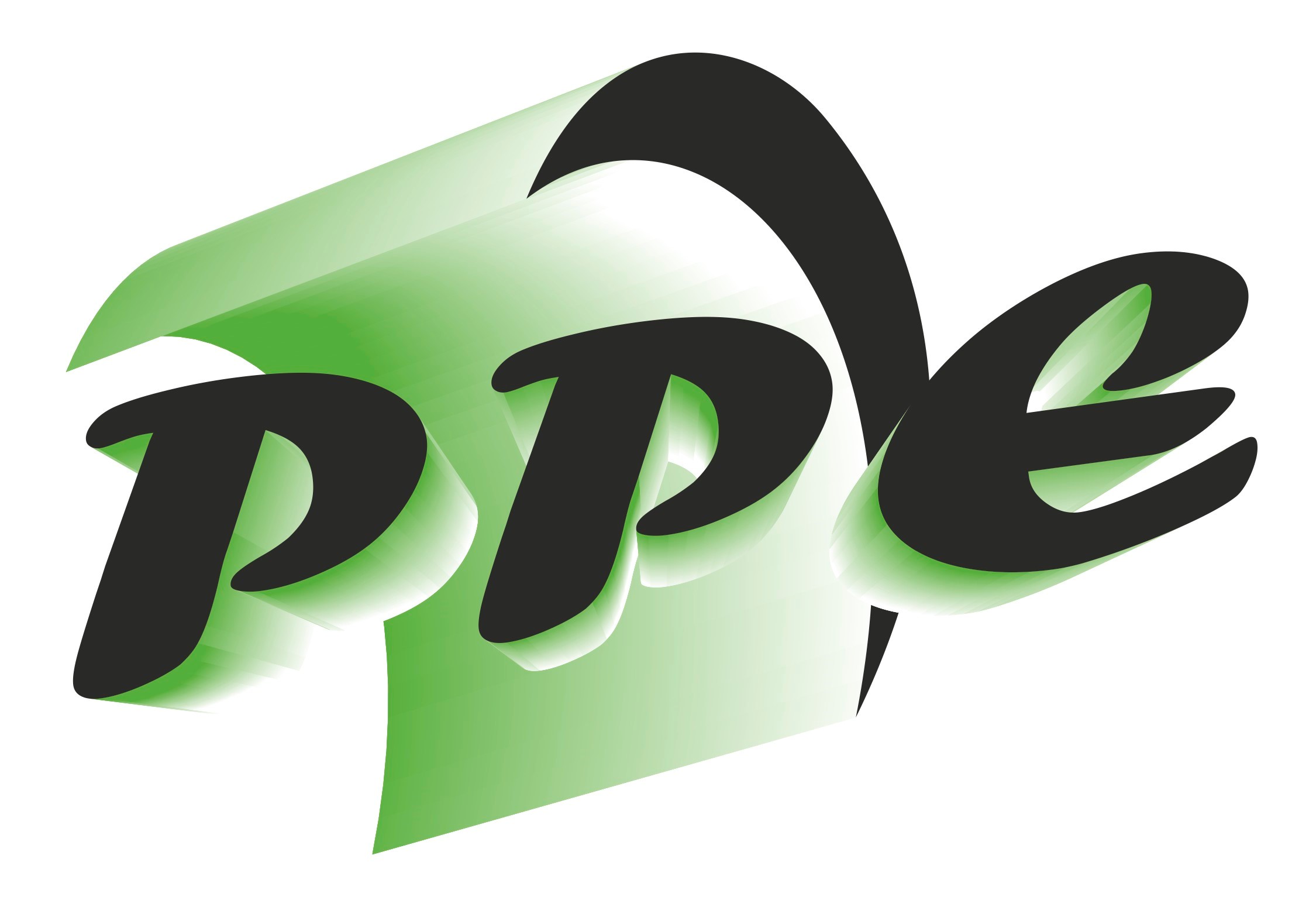 PPE2021 conference logo
